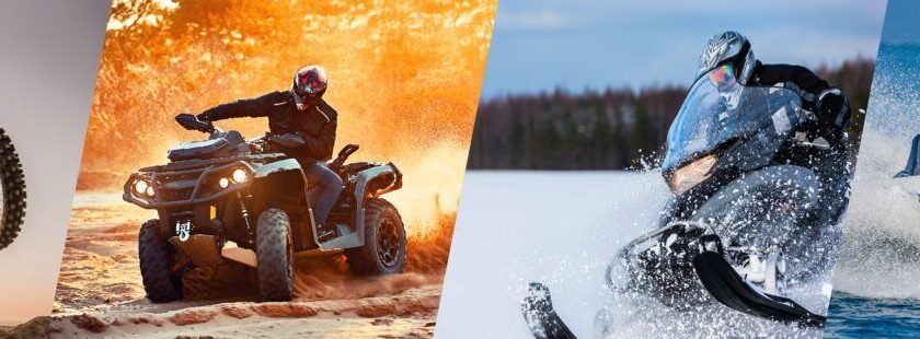 WhatsApp Image 2024-11-11 at 06.01.29