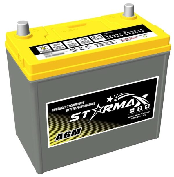 Tesla Model 3 Y 12V Premium AGM Automotive Starting Battery