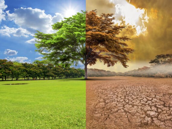 A,Global,Warming,Concept,Image,Showing,The,Effect,Of,Arid